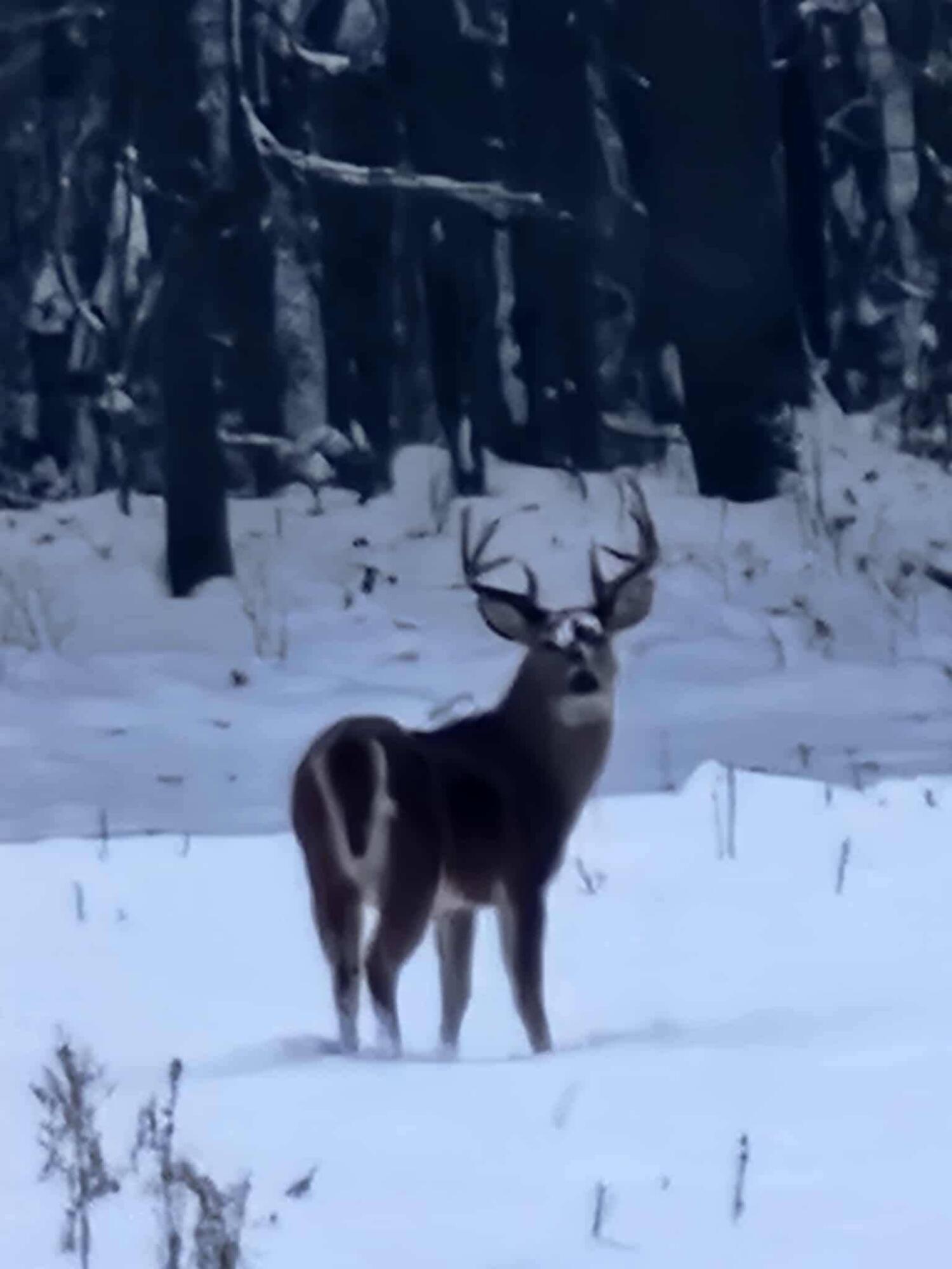 12251 Flowerfield Road Marcellus, MI 49067 - Photo 5 of 25 FB_IMG_1768952913797