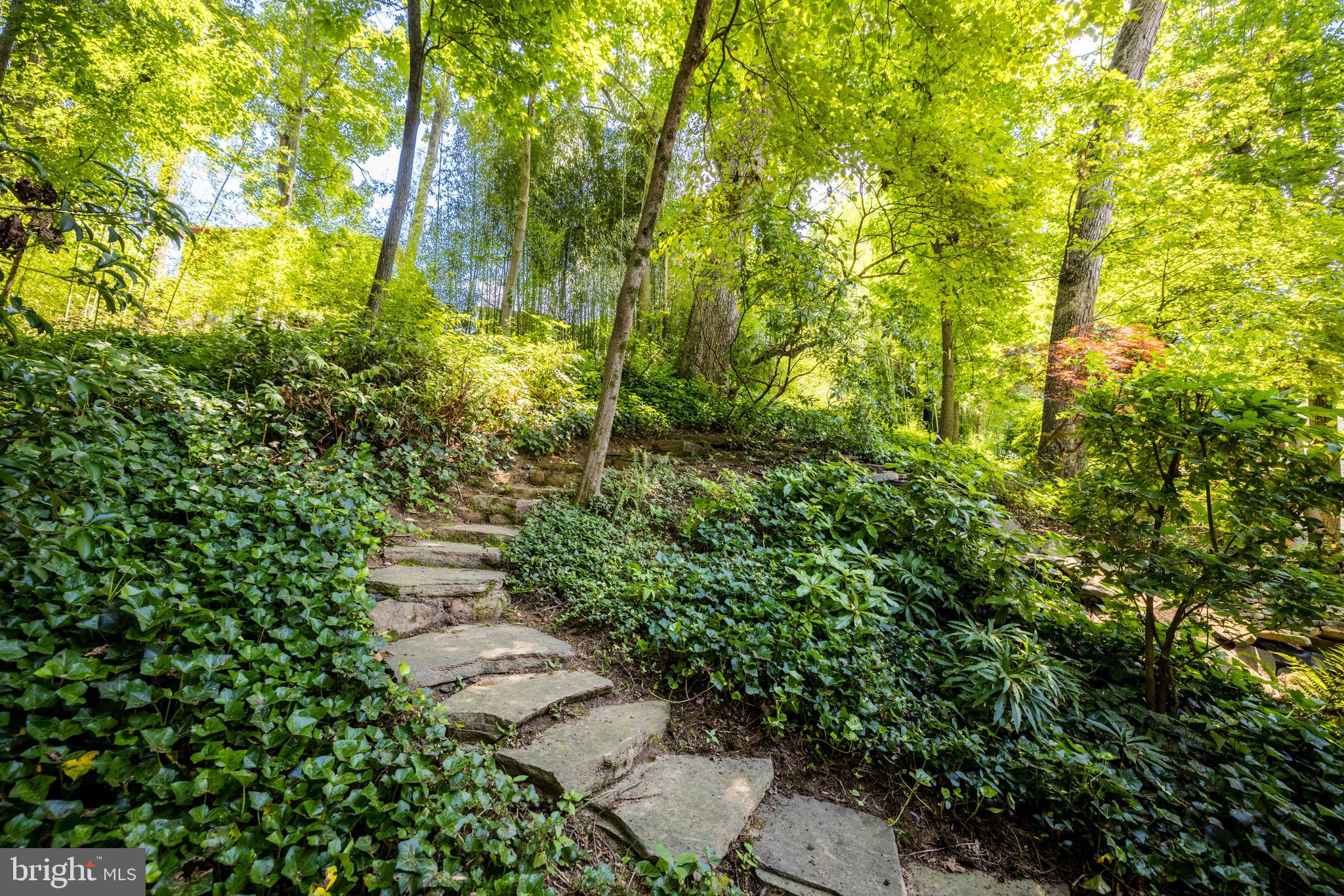 3607 Military Road Arlington, VA 22207 - Photo 21 of 23 Incredible Outdoor Space