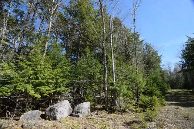 $129,900 | Lot#3 Crowe Lane, Princeton, ME 04668