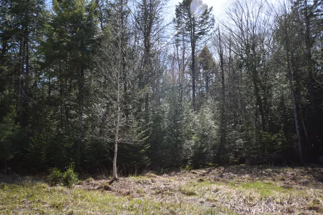 $129,900 | Lot#3 Crowe Lane, Princeton, ME 04668