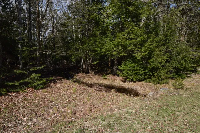 $129,900 | Lot#3 Crowe Lane, Princeton, ME 04668