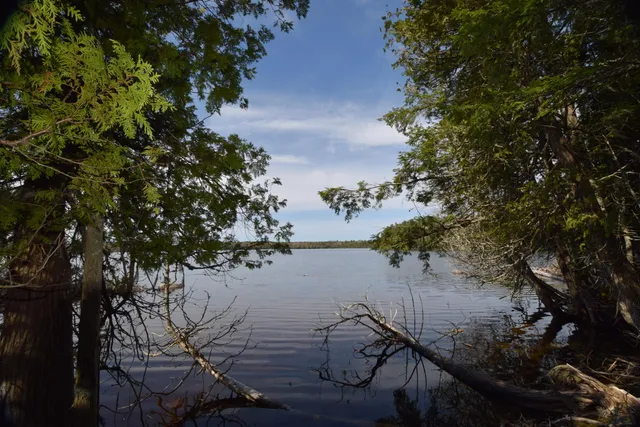 $129,900 | Lot#3 Crowe Lane, Princeton, ME 04668