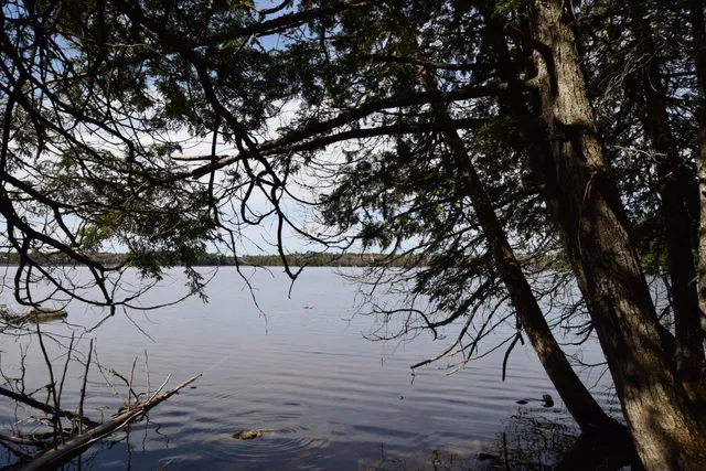 $129,900 | Lot#3 Crowe Lane, Princeton, ME 04668