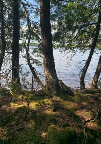 $129,900 | Lot#3 Crowe Lane, Princeton, ME 04668