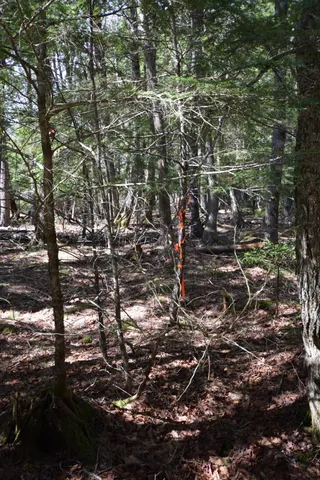 $129,900 | Lot#3 Crowe Lane, Princeton, ME 04668
