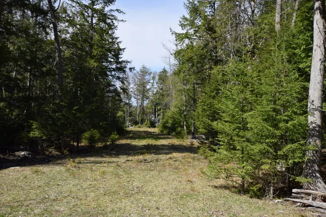 $129,900 | Lot#3 Crowe Lane, Princeton, ME 04668