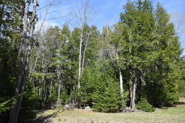 $129,900 | Lot#3 Crowe Lane, Princeton, ME 04668
