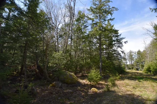$129,900 | Lot#3 Crowe Lane, Princeton, ME 04668