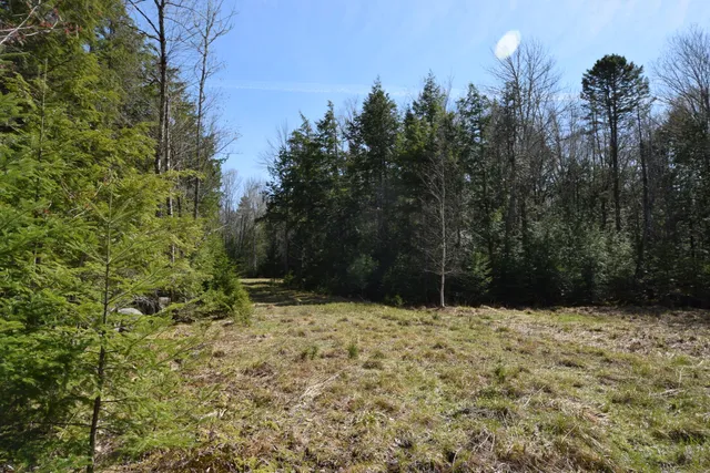 $129,900 | Lot#3 Crowe Lane, Princeton, ME 04668