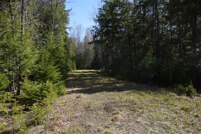 $129,900 | Lot#3 Crowe Lane, Princeton, ME 04668