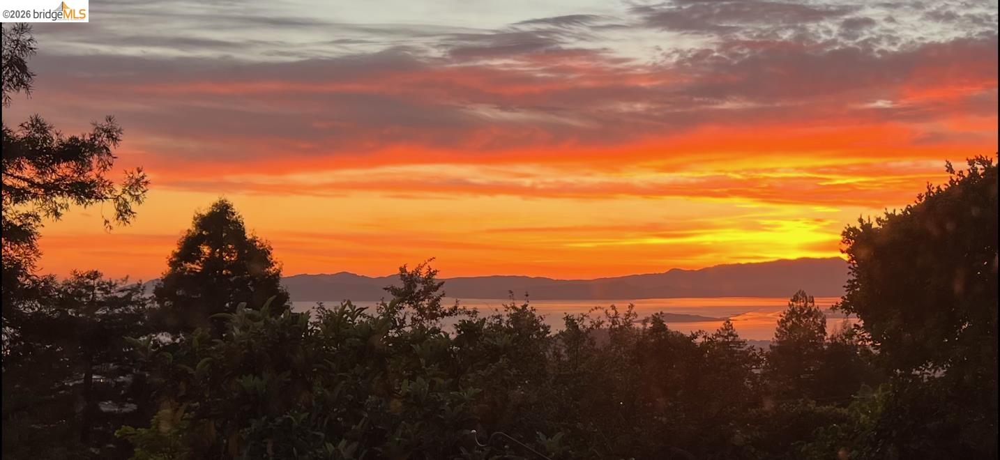 870 Keeler Avenue Berkeley, CA 94708 - Photo 8 of 37