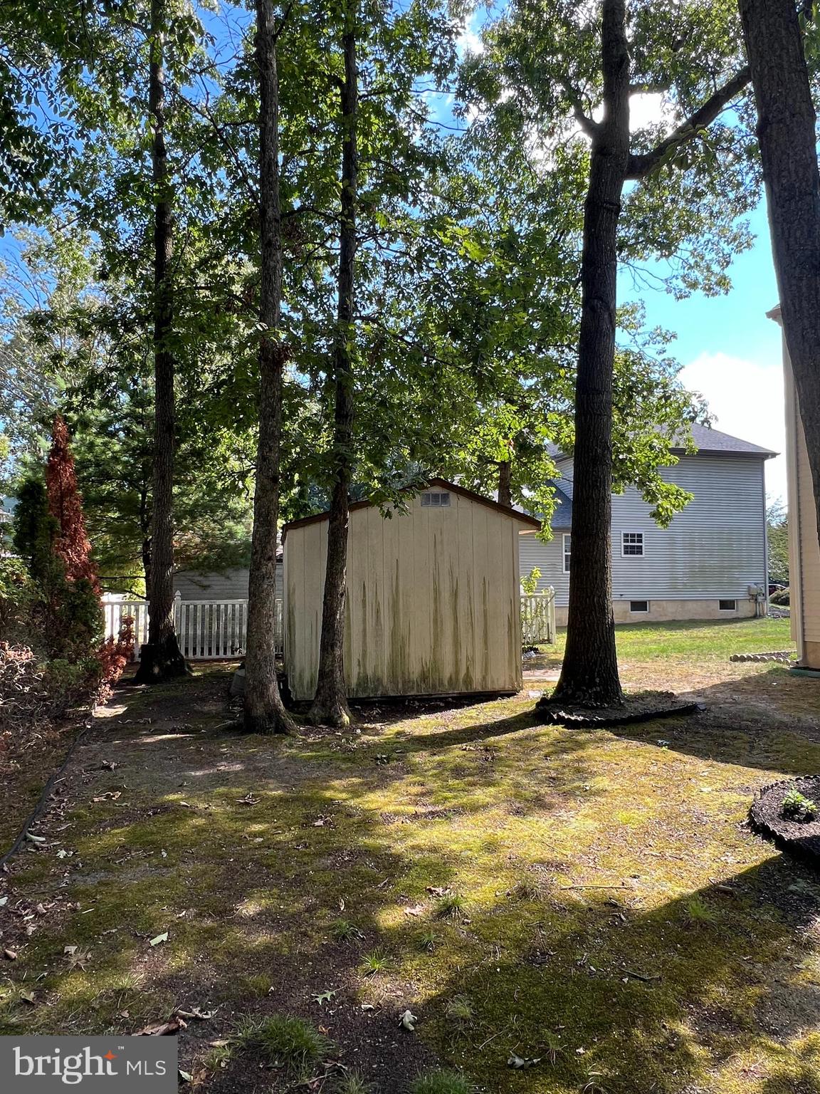 22 Read Drive, Unit DR Sicklerville, NJ 08081 - Photo 46 of 49 a view of a backyard with a tree