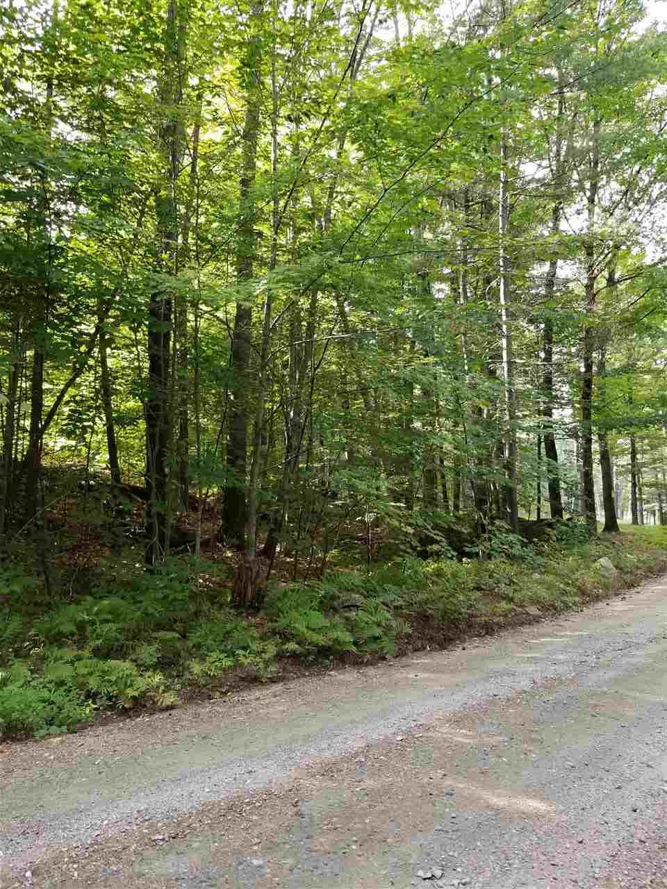 771 Nudist Camp Road Chester, VT 05143 - Photo 7 of 28