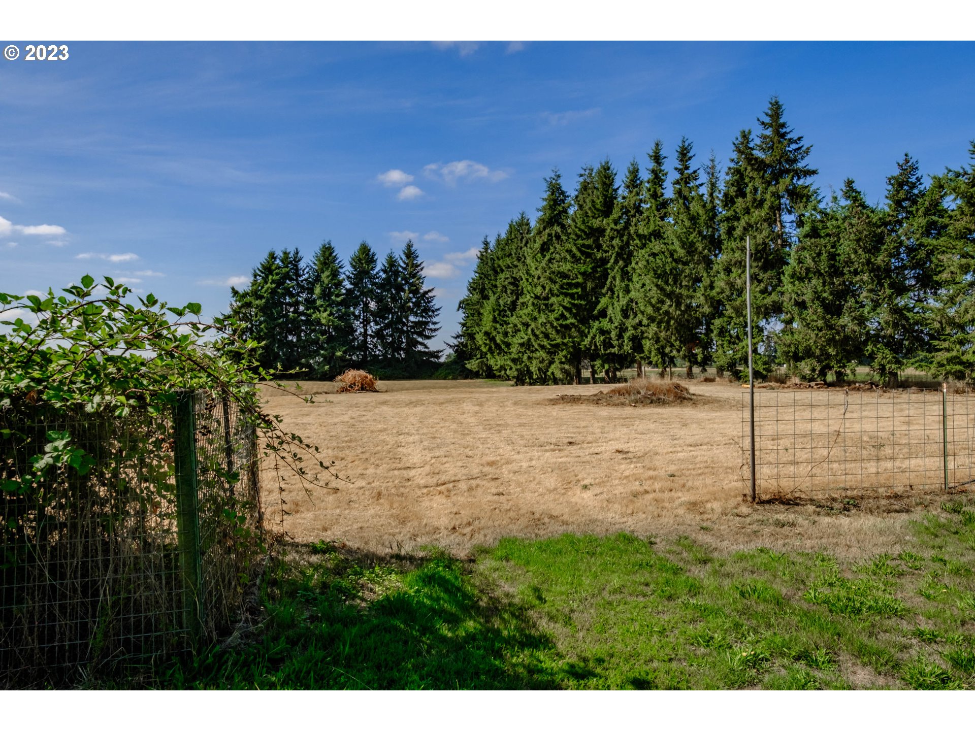 33424 Dever Conner Road Northeast Albany, OR 97321 - Photo 39 of 42 Gallery Image 39