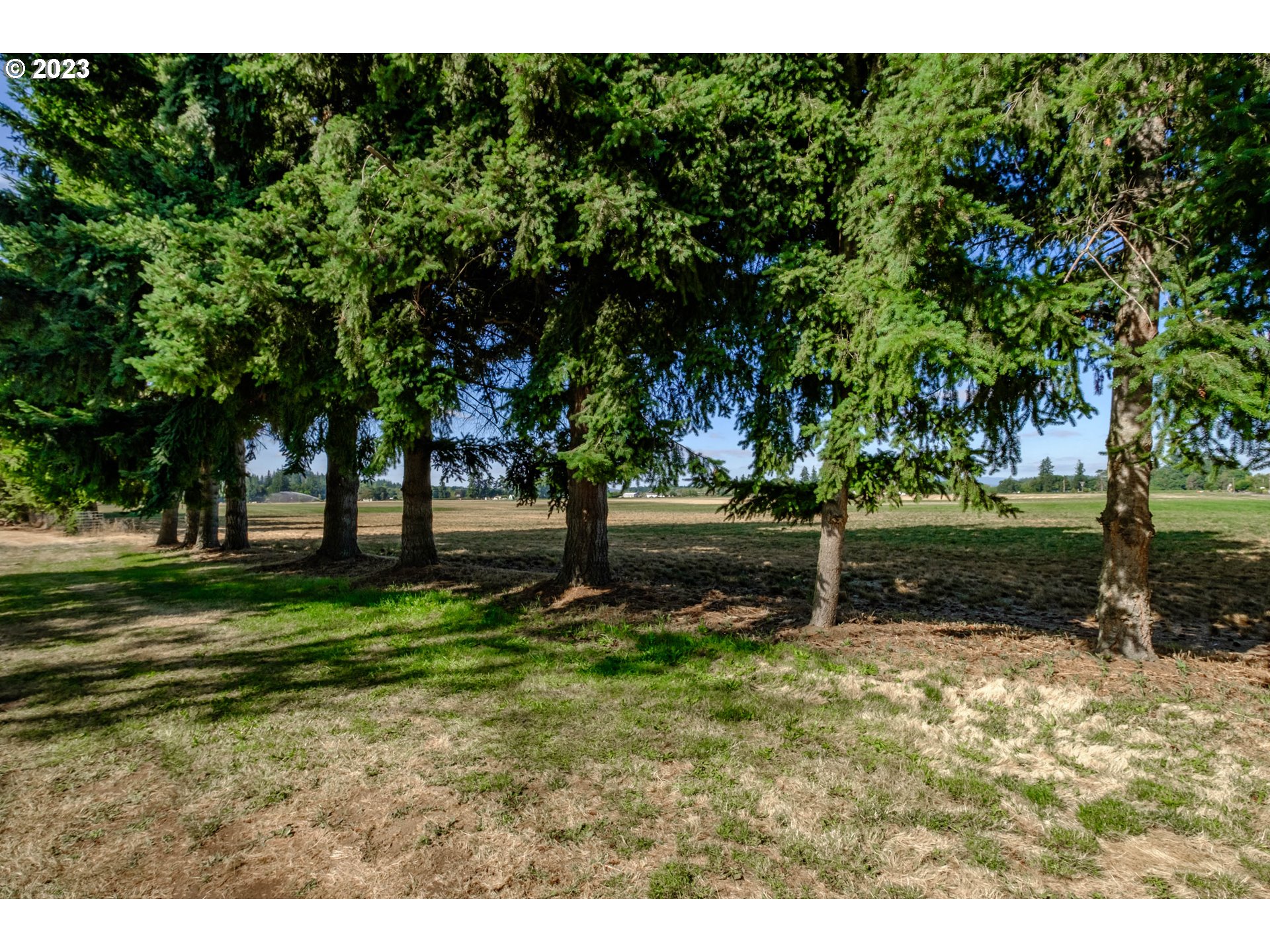 33424 Dever Conner Road Northeast Albany, OR 97321 - Photo 41 of 42 Gallery Image 41