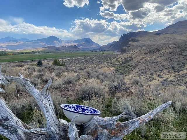 $619,000 | 116 Coates Lane, Challis, ID 83226