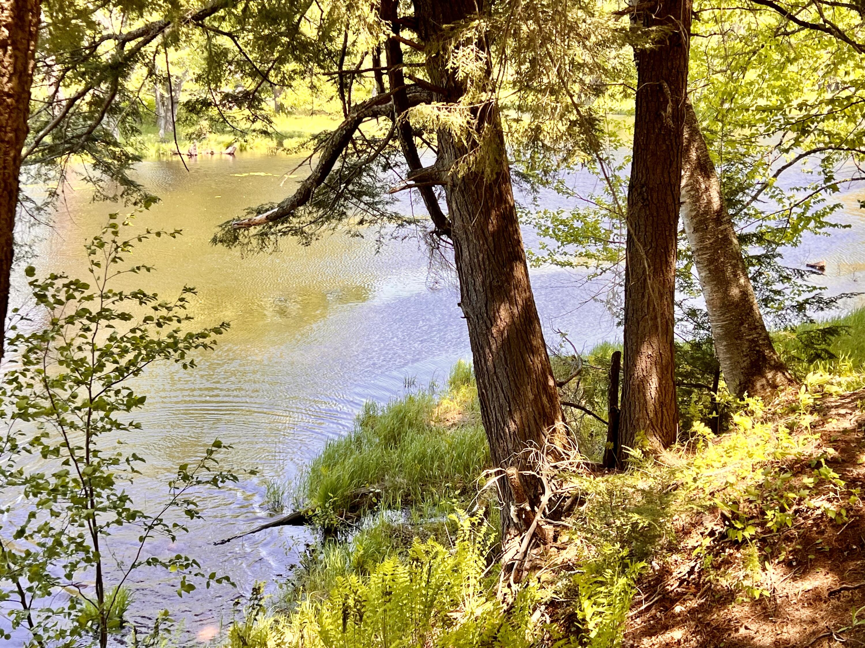138 Reardon Road Milo, ME 04463 - Photo 113 of 123 Tons of Riverfrontage