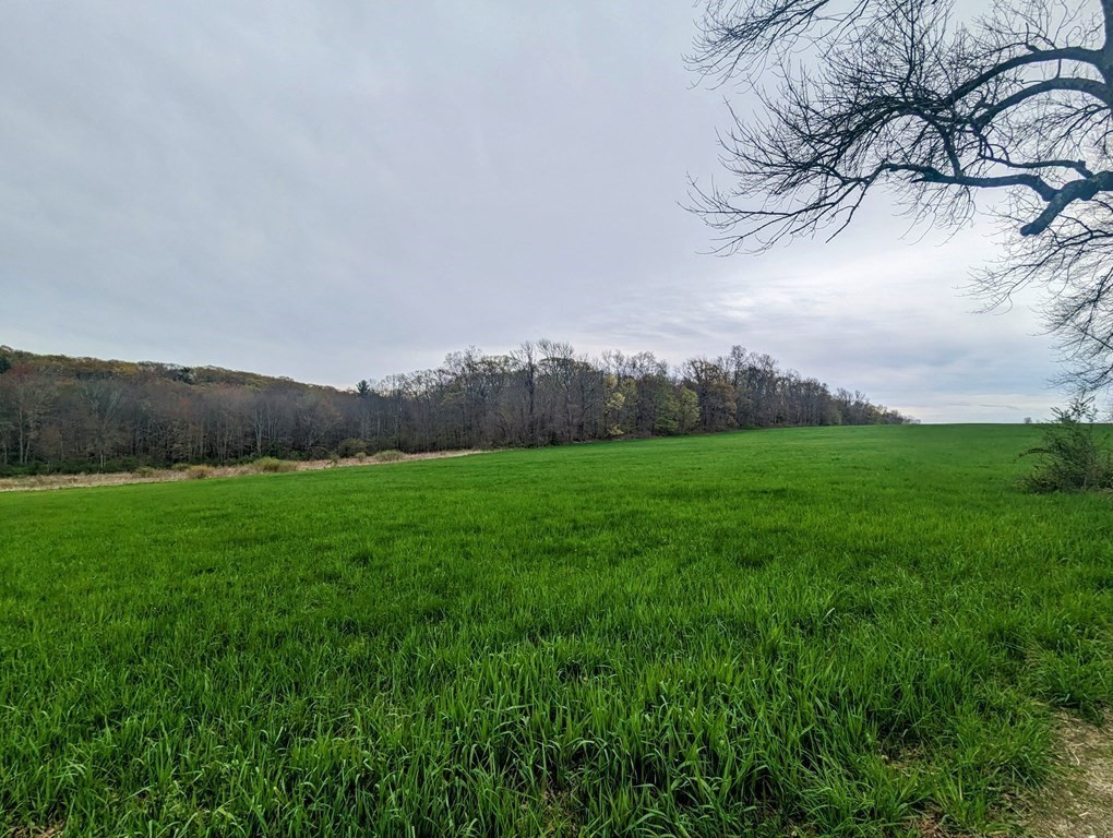 75 Marsh Road Dudley, MA 01571 - Photo 16 of 41 a view of grassy field with trees