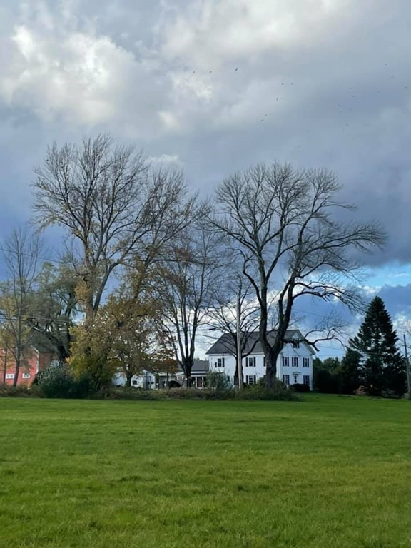 75 Marsh Road Dudley, MA 01571 - Photo 24 of 41 a big yard with lots of trees