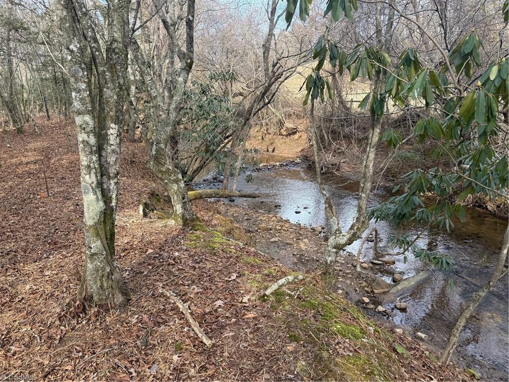 359 Rc Road Traphill, NC 28685 - Photo 13 of 13