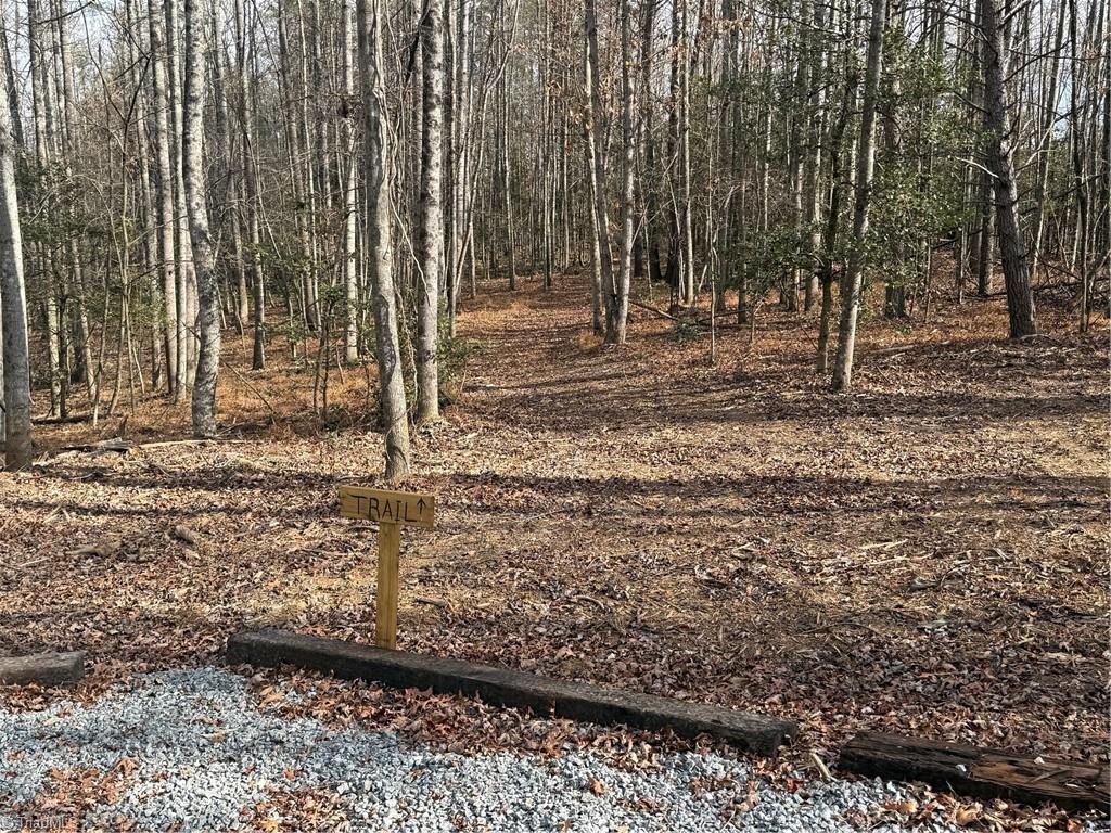 359 Rc Road Traphill, NC 28685 - Photo 10 of 13