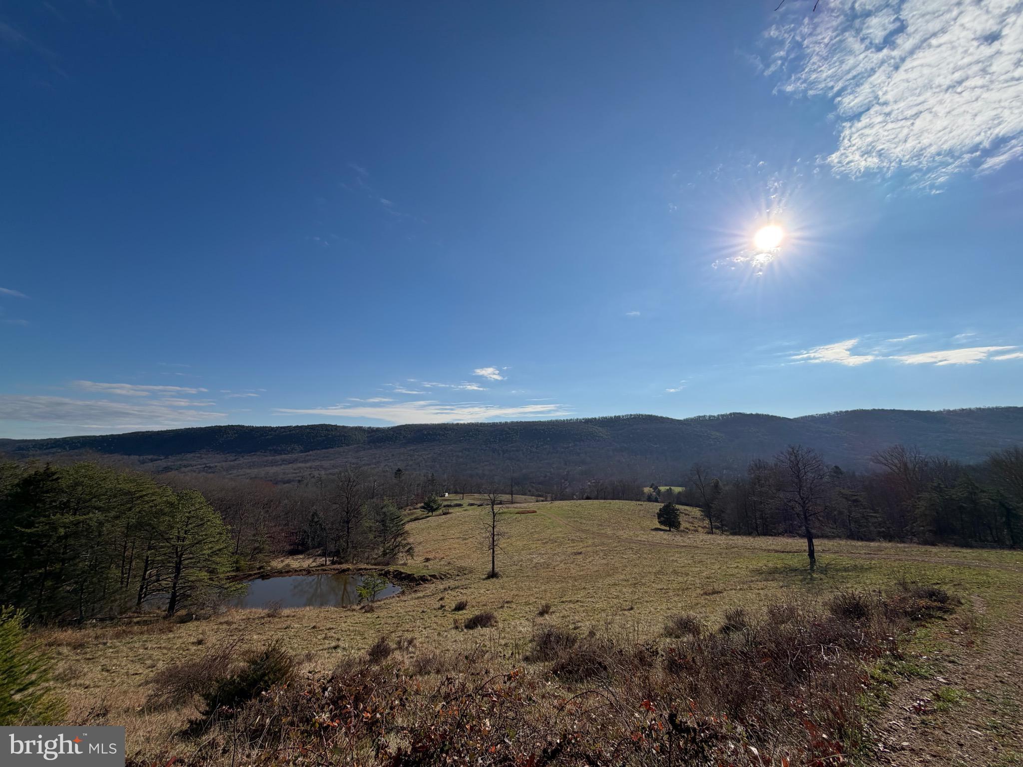 34.58 Ac Off Sperry's Run Road Rio, WV 26755 - Photo 15 of 17 a view of a yard