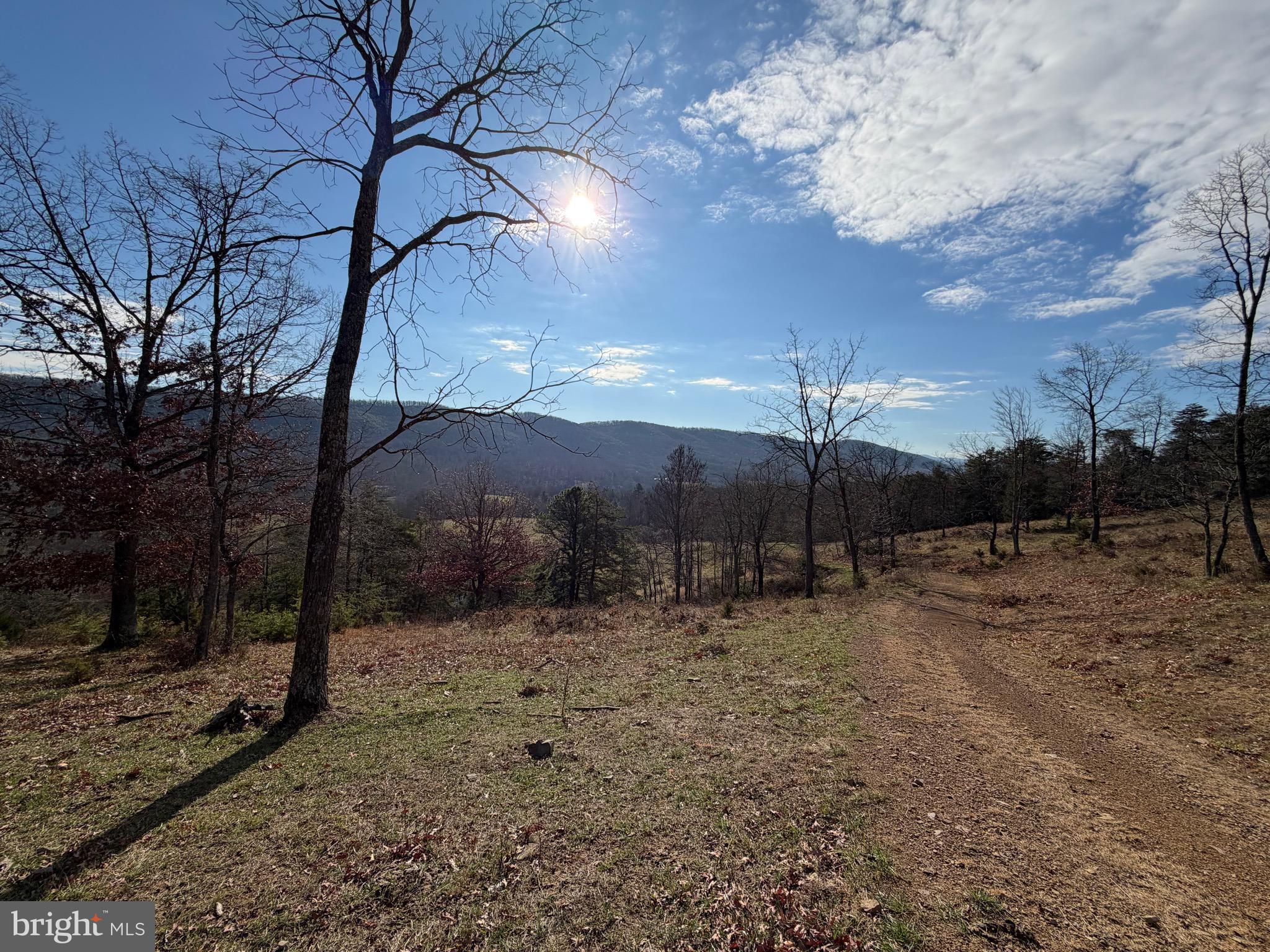 34.58 Ac Off Sperry's Run Road Rio, WV 26755 - Photo 16 of 17 a view of a yard with a tree
