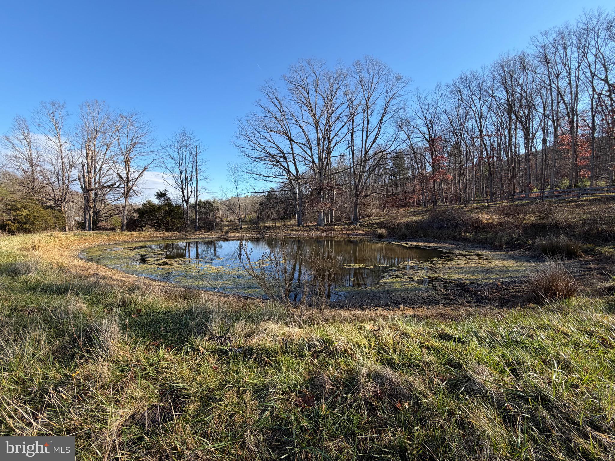 34.58 Ac Off Sperry's Run Road Rio, WV 26755 - Photo 2 of 17 a view of yard with trees