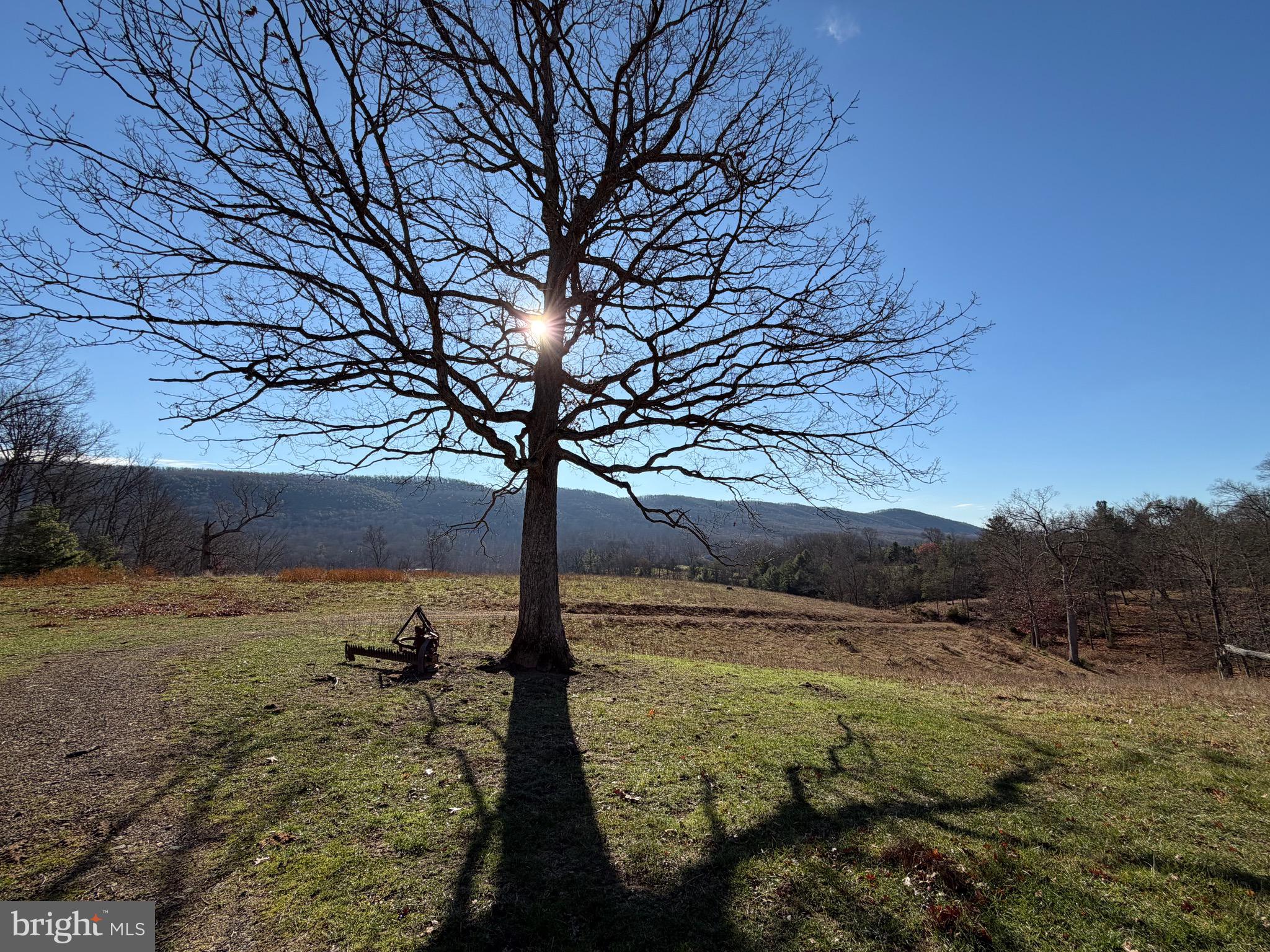 34.58 Ac Off Sperry's Run Road Rio, WV 26755 - Photo 4 of 17 a view of a yard with an ocean view