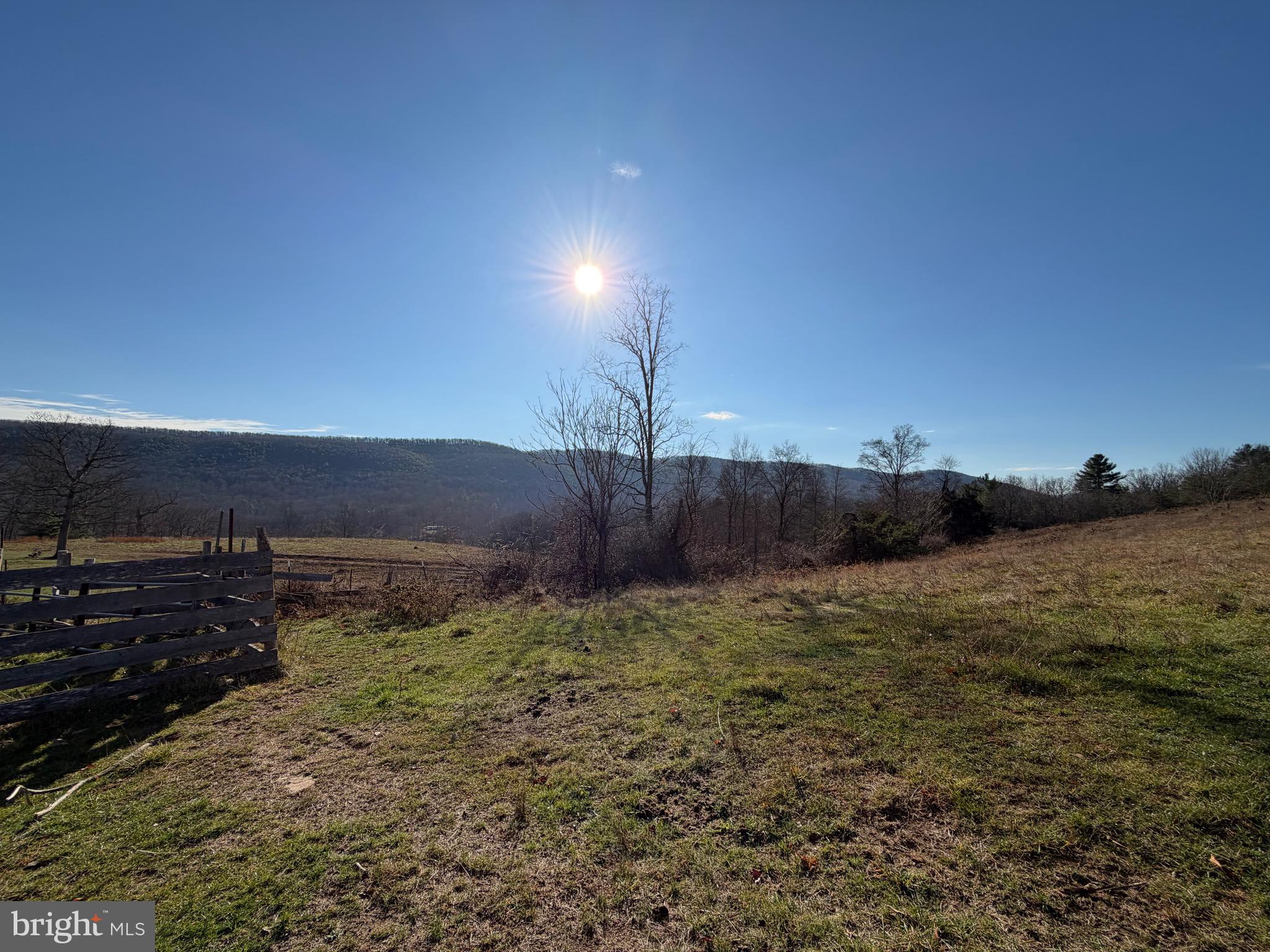 34.58 Ac Off Sperry's Run Road Rio, WV 26755 - Photo 8 of 17