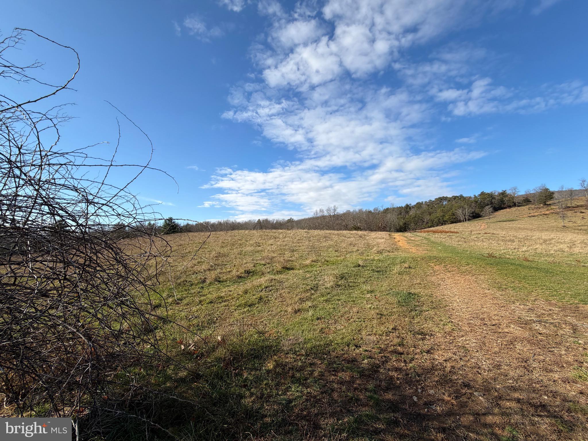 34.58 Ac Off Sperry's Run Road Rio, WV 26755 - Photo 9 of 17 a view of an ocean