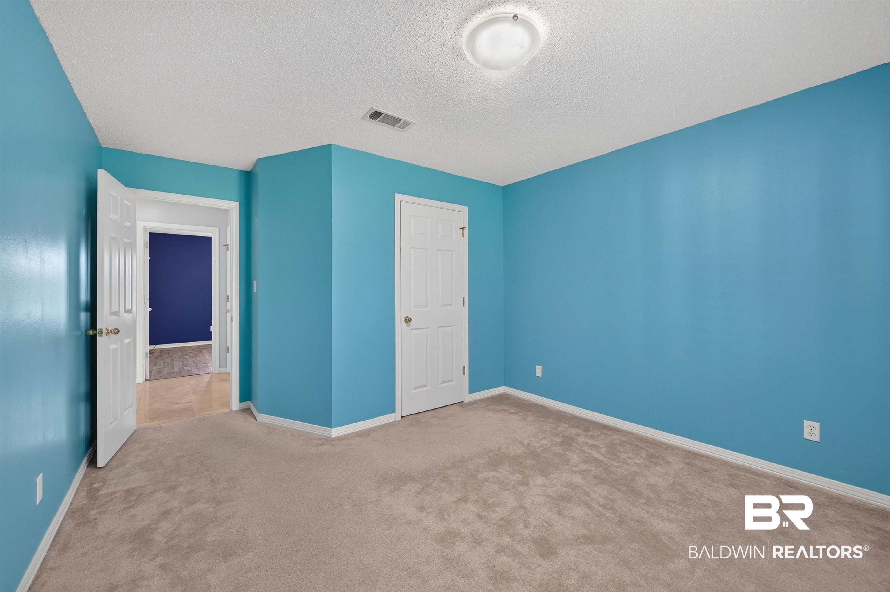 22685 County Road 12 Foley, AL 36535 - Photo 70 of 89 Carpeted interior room with light blue wall paint and white trim