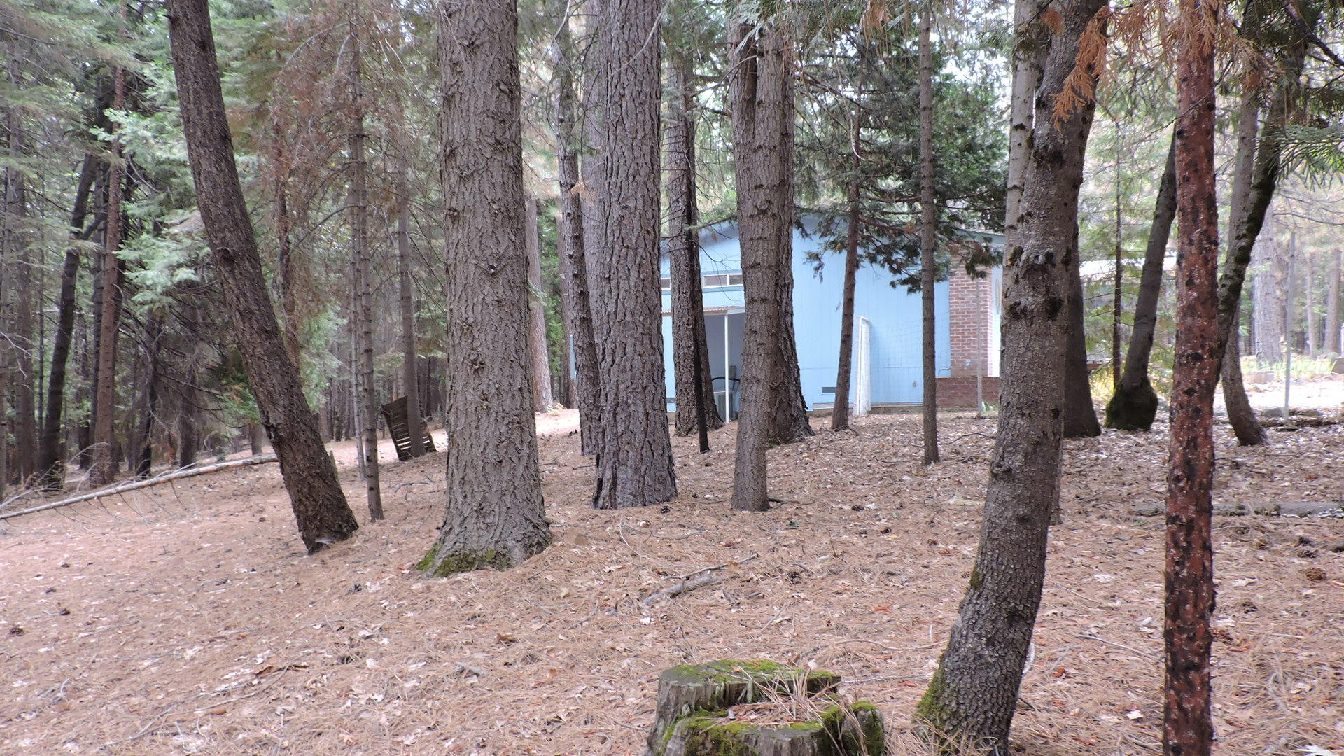 30570 Rl Smith Logging Road Oak Run, CA 96069 - Photo 36 of 37 RL Smith Logging_019