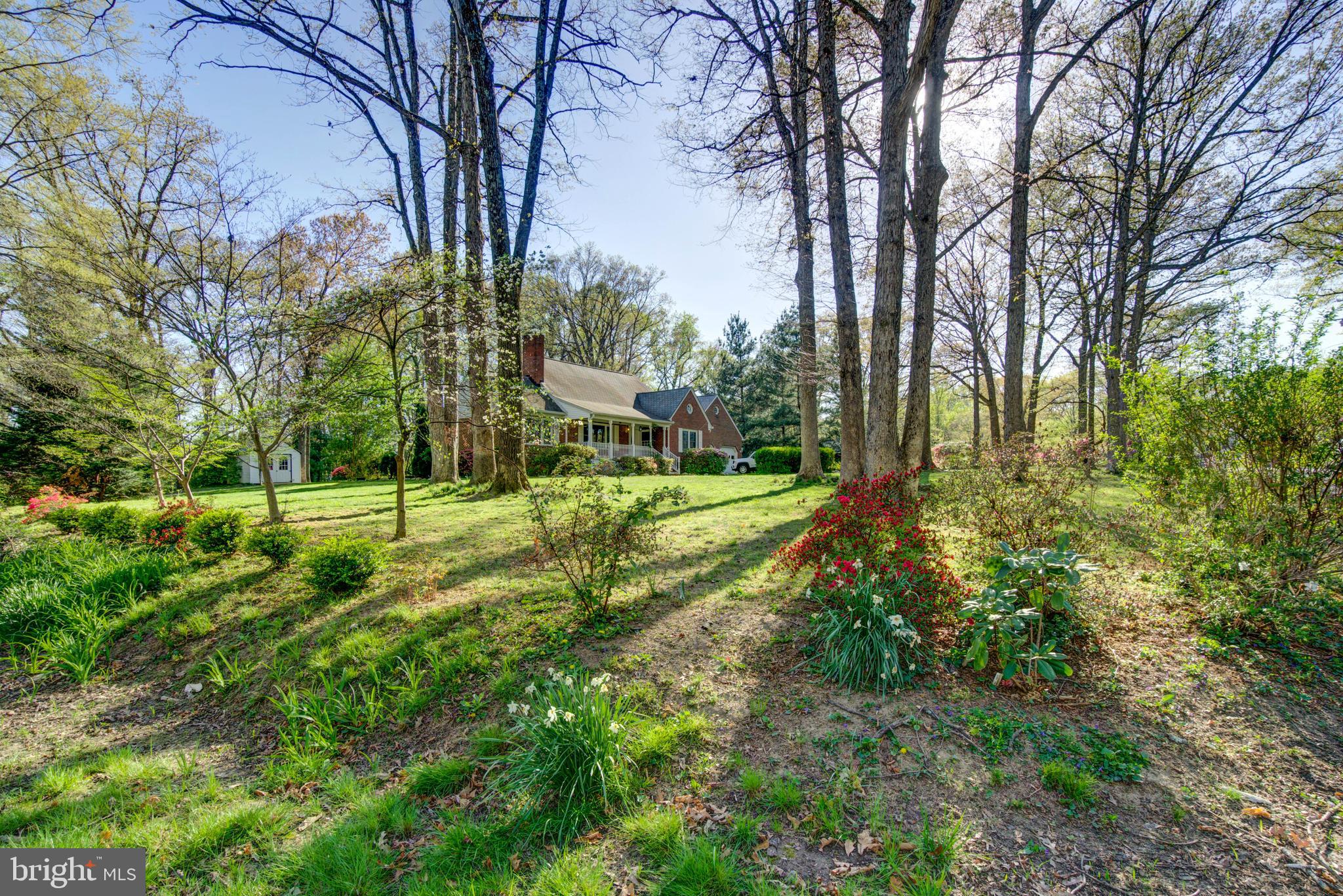 6648 Ridgeway Drive Springfield, VA 22150 - Photo 12 of 70 Gallery Image 12