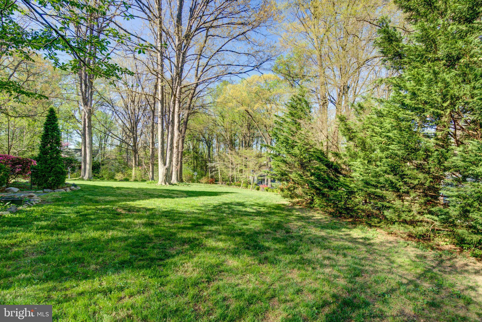 6648 Ridgeway Drive Springfield, VA 22150 - Photo 48 of 70 Gallery Image 48