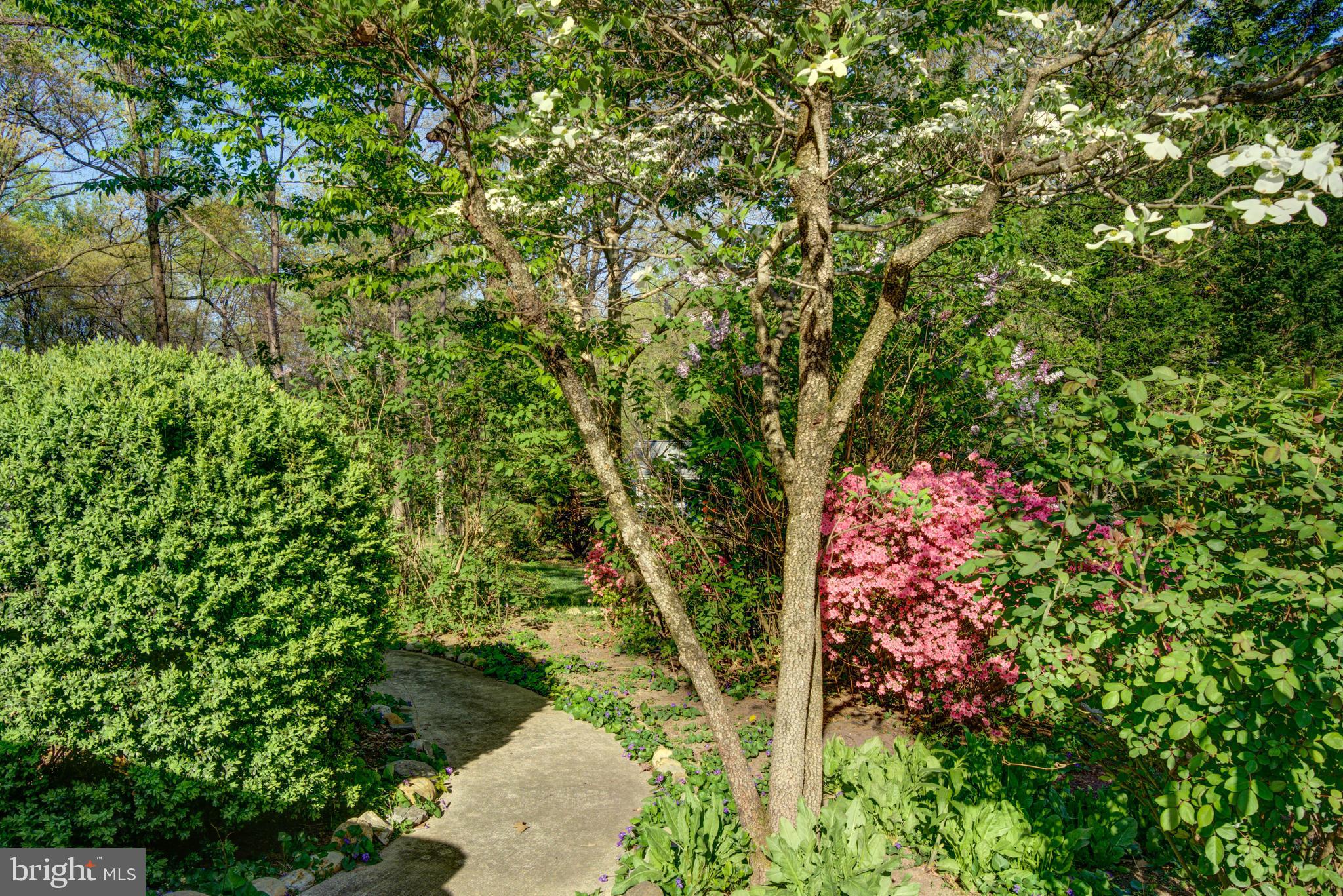 6648 Ridgeway Drive Springfield, VA 22150 - Photo 62 of 70 Gallery Image 62