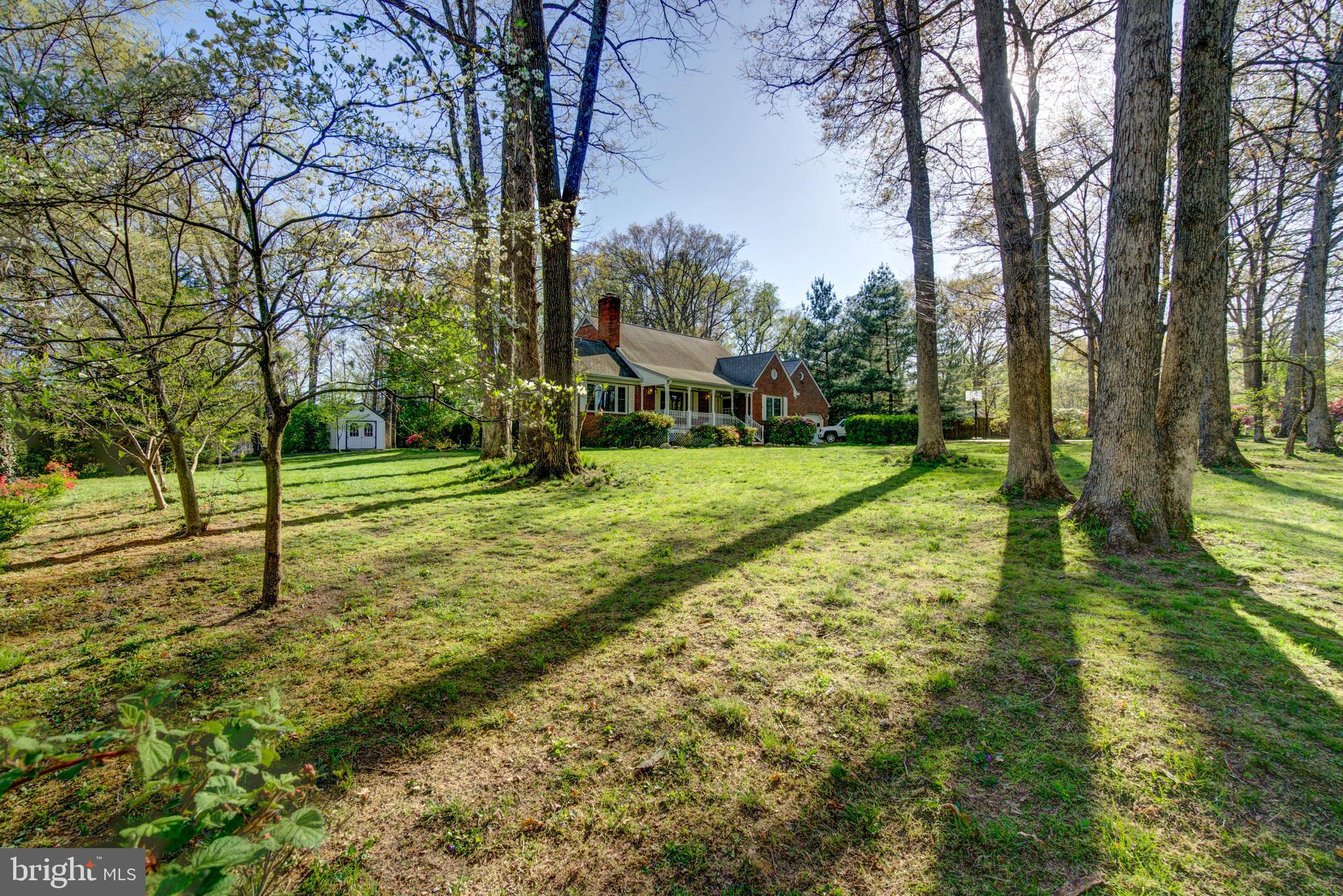 6648 Ridgeway Drive Springfield, VA 22150 - Photo 10 of 70 Gallery Image 10