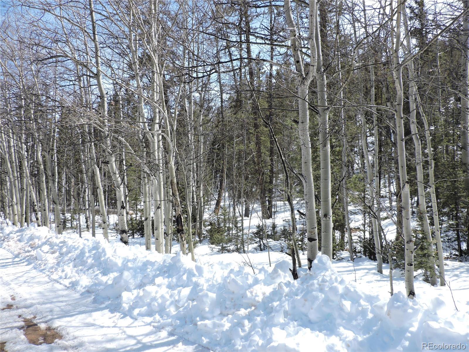 204 Osprey Road Como, CO 80432 - Photo 3 of 14 a view of outdoor space with trees