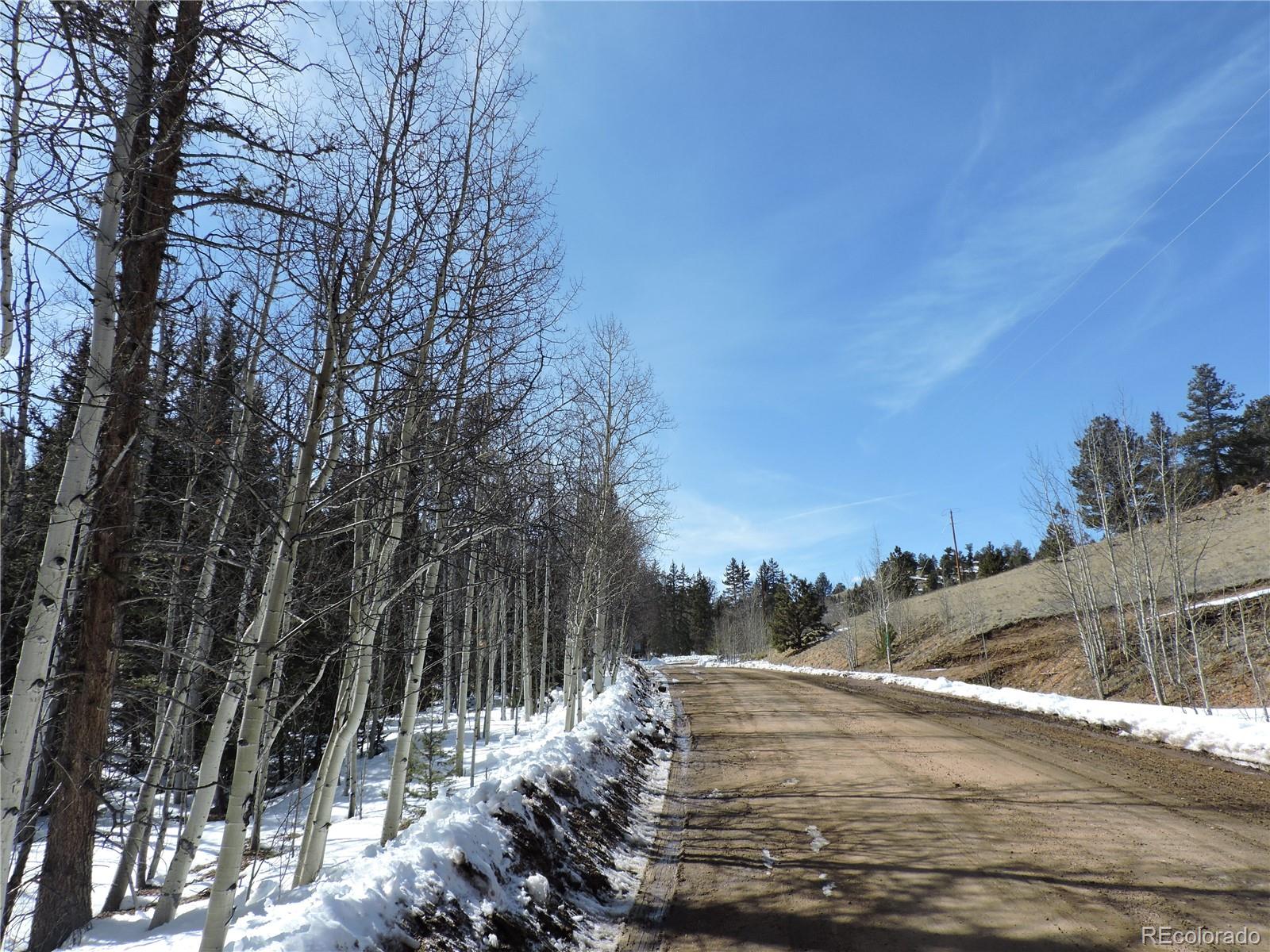 204 Osprey Road Como, CO 80432 - Photo 5 of 14 a view of a dry yard with wooden fence
