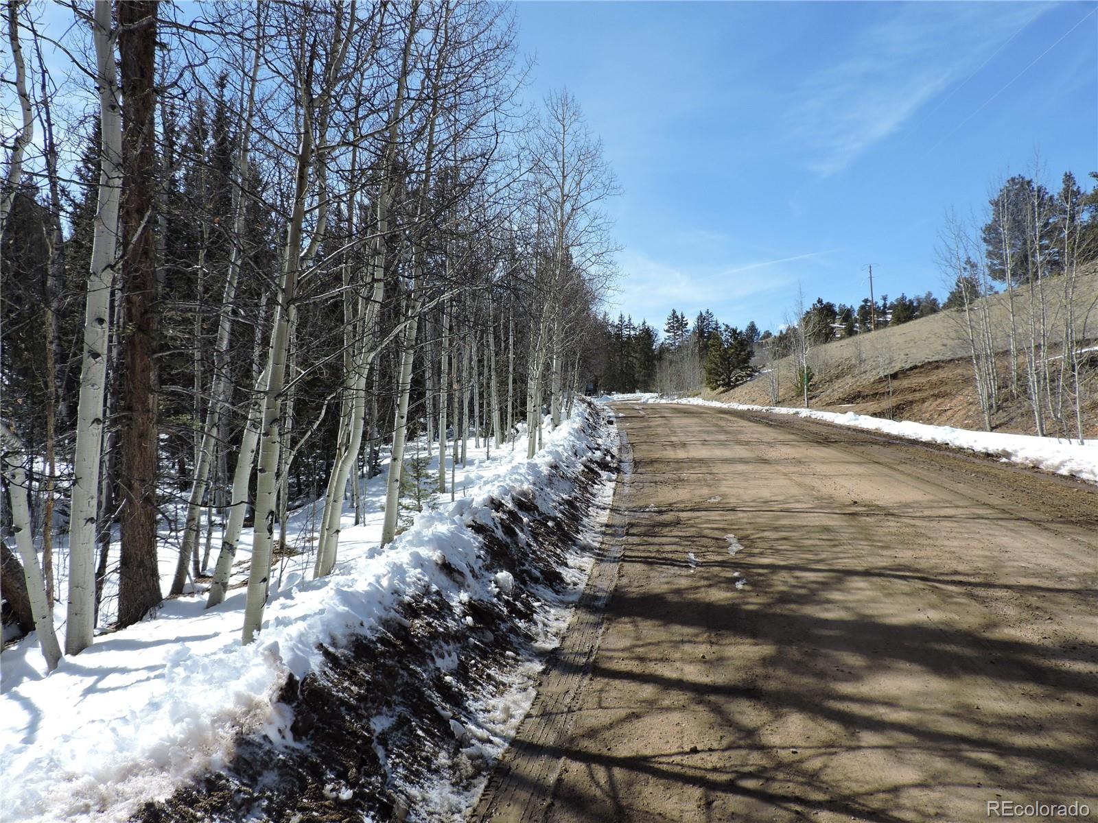 204 Osprey Road Como, CO 80432 - Photo 9 of 14
