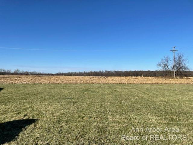 9100 Trinkle Road Dexter, MI 48130 - Photo 3 of 4 Photo 3