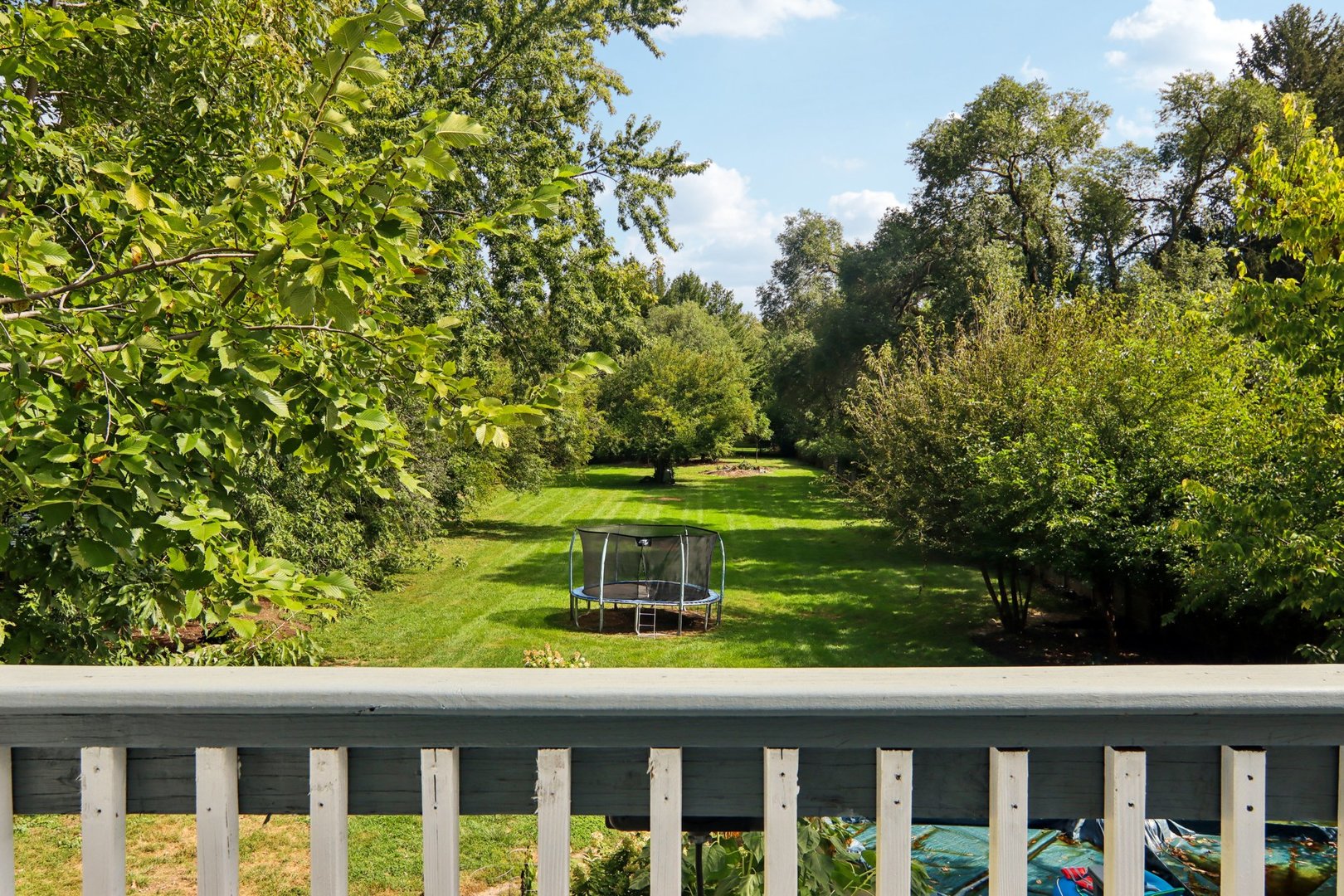 806 Spencer Street Joliet, IL 60433 - Photo 43 of 49 a view of a green field with plants in front of house