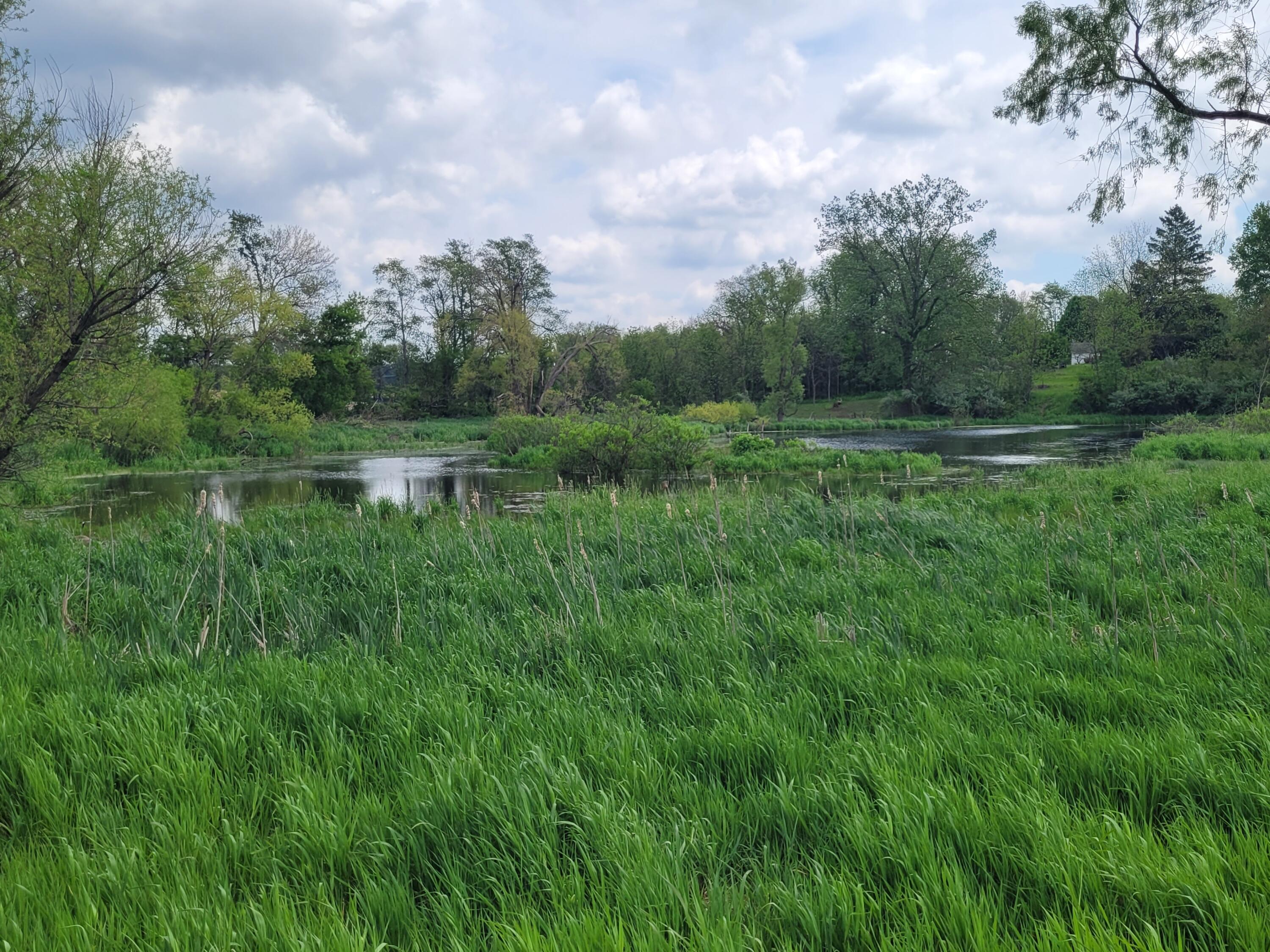 9007 Lake Road Eau Claire, MI 49111 - Photo 21 of 33 Pond