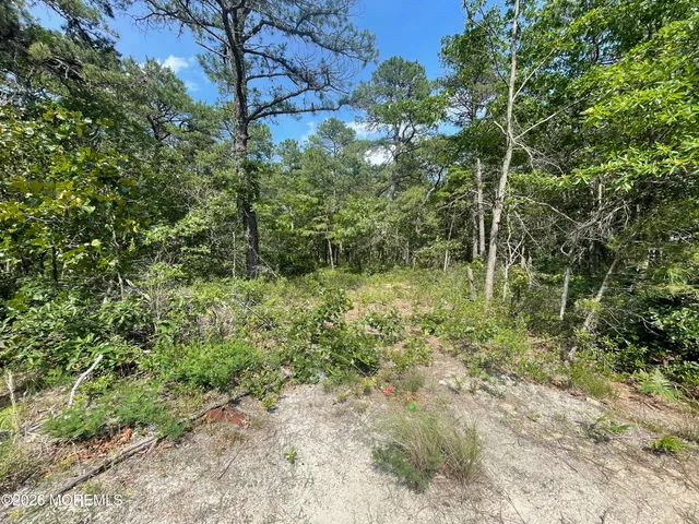 a big yard with lots of green space and bushes