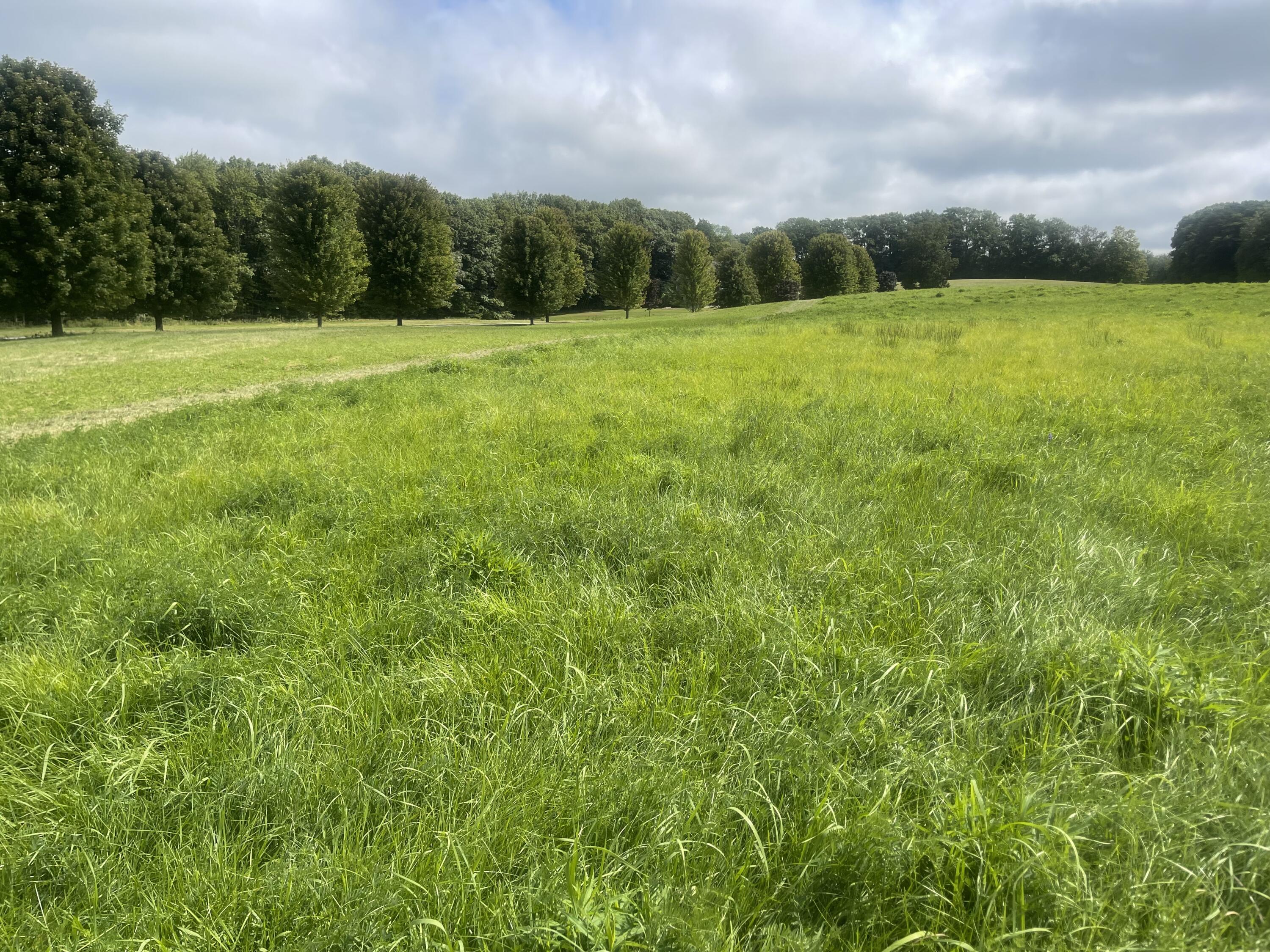 Lot 5 Deering Drive Scarborough, ME 04074 - Photo 2 of 9 1A1BEEA6-A2B0-44F1-8464-62D04B72D688