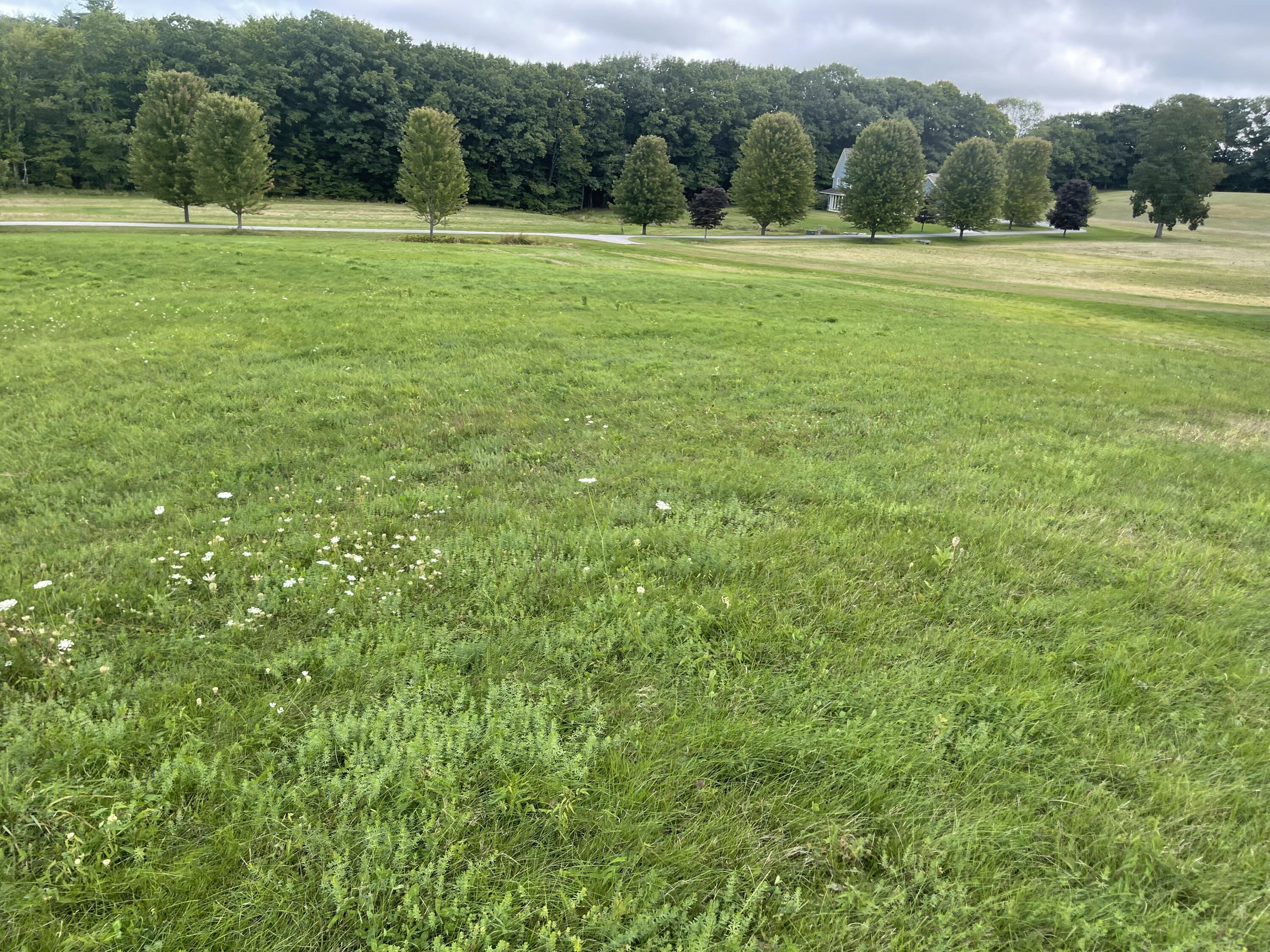 Lot 5 Deering Drive Scarborough, ME 04074 - Photo 6 of 9 F2B0887E-C897-4D0C-8B40-FD9AB6E617FE