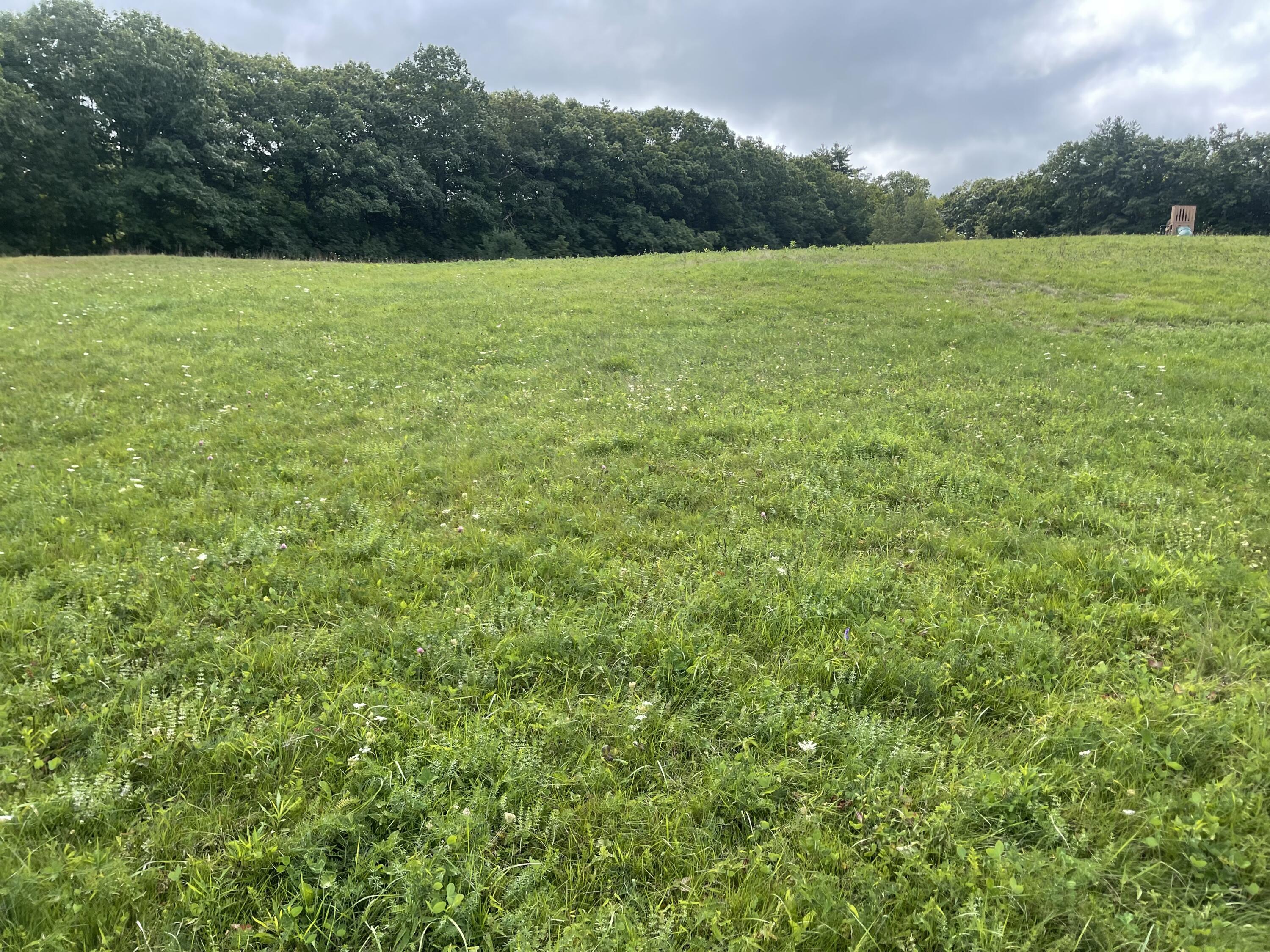 Lot 5 Deering Drive Scarborough, ME 04074 - Photo 8 of 9 CE4BD2B8-A0BD-41AB-9CC1-402FCE1B9FF2