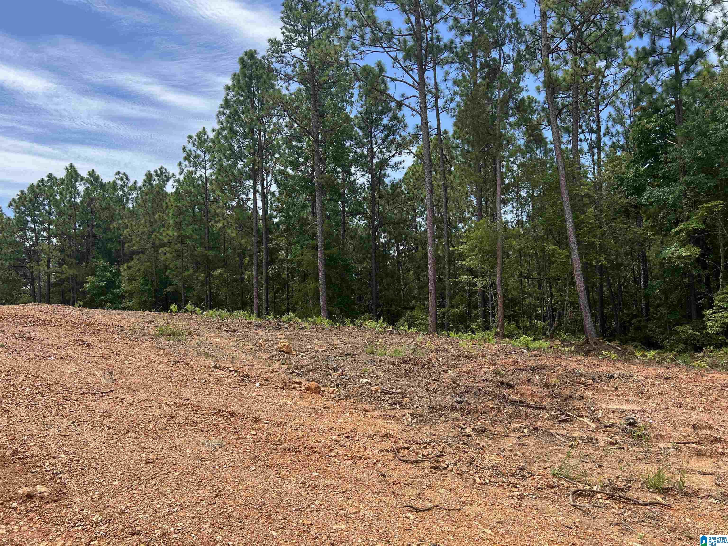 0 County Road 188 Clanton, AL 35046 - Photo 16 of 20