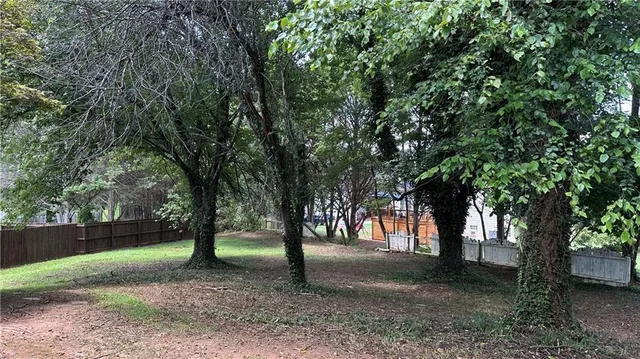 a view of tree in the forest