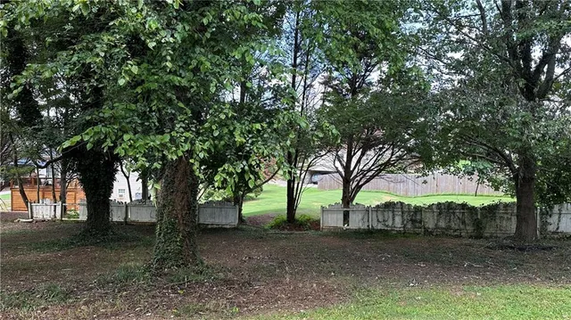 a view of a yard with a tree